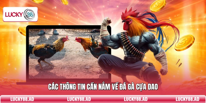 Các thông tin cần nắm về đá gà cựa dao
