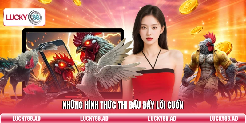 Những hình thức thi đấu đầy lôi cuốn