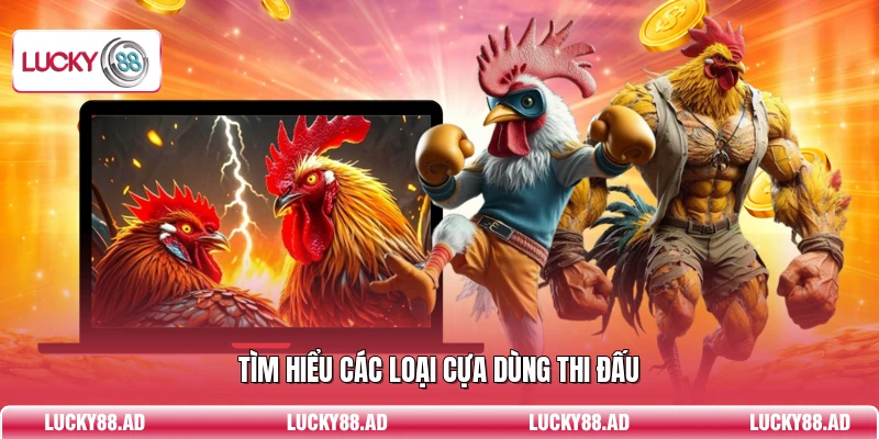 Tìm hiểu các loại cựa dùng thi đấu